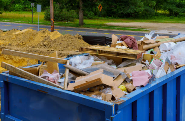 Best Attic Cleanout  in Alamosa, CO